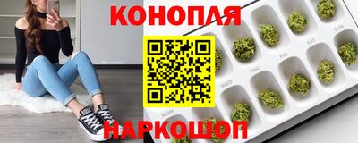 трава Новокубанск