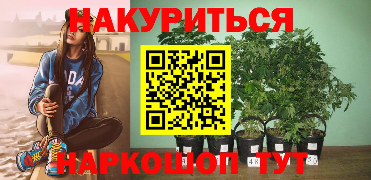 Каннабис сатива  Вход с VPN  Уварово  Канабис индика  Бошки Шишки White Widow  Бошки Шишки планчик 